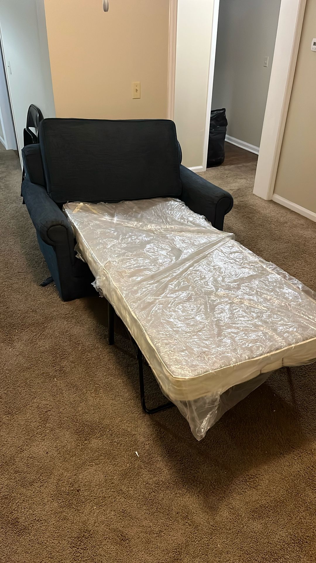 Couch/Bed
