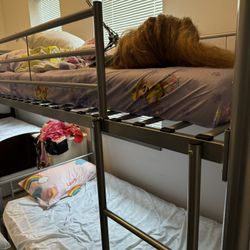 Bunk Beds