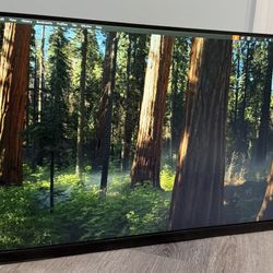 Samsung 27", LG 27", and Acer 23.8" Monitors