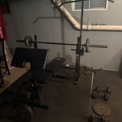 Weight Bench And Weights