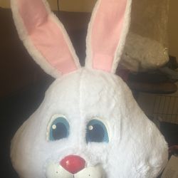 Bunny With Vest - Full costume