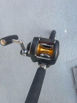 Fishing Combo, Yellow Tail, Sea Bass, All species!