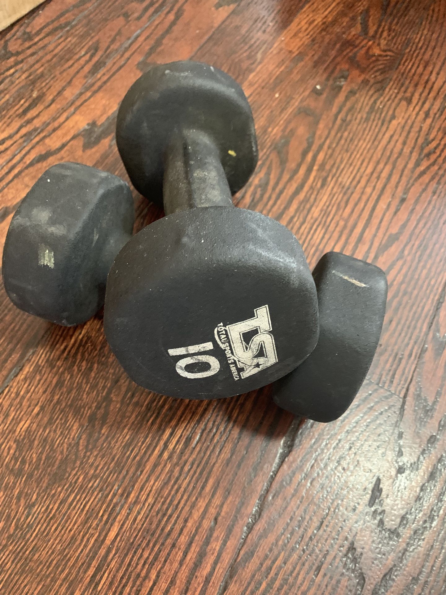 Pair of 10 lb Neoprene-Coated Dumbbells Total Sports America TSA Weights