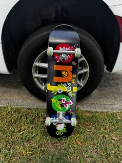 Enjoy Skateboard