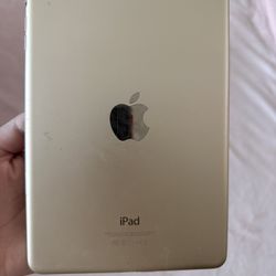 iPad Mini 3