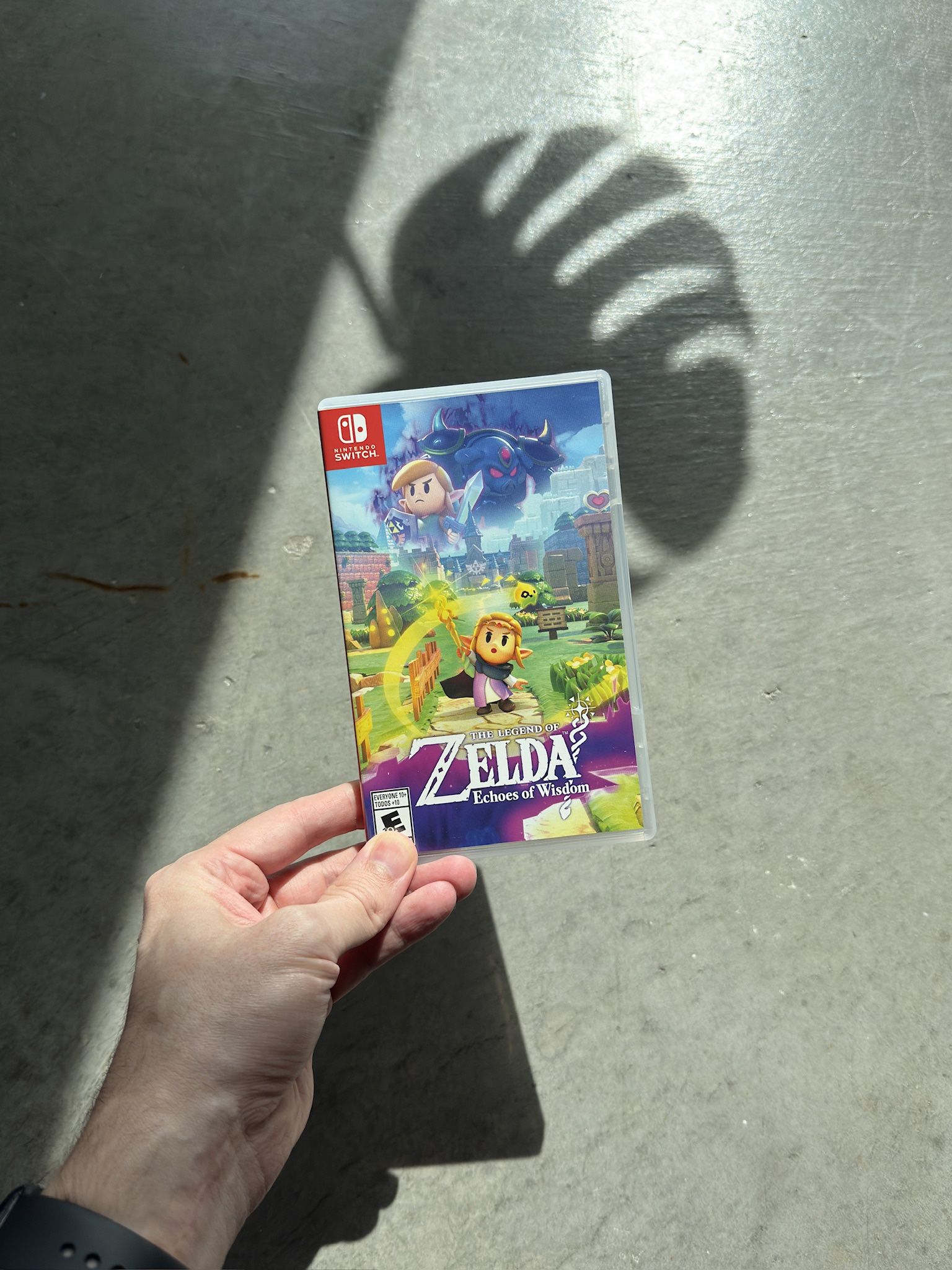 Zelda Echoes of Wisdom