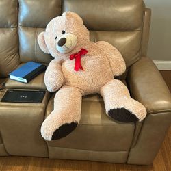 Huge Teddy Bear