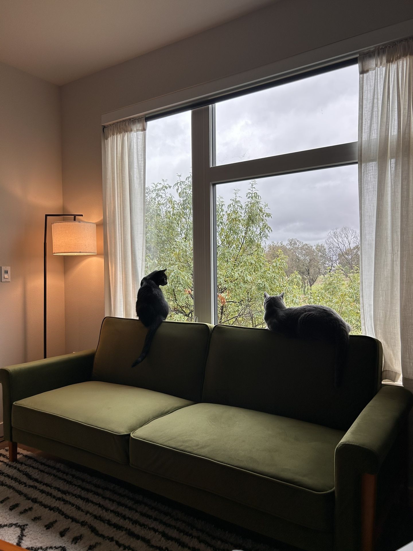 Unopened Box  Edloe Finch Ashbury Sleeper Sofa(Olive Velvet)