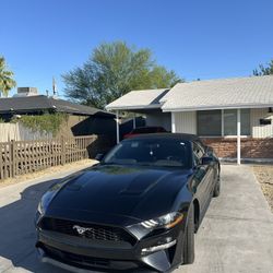 2019 Ford Mustang