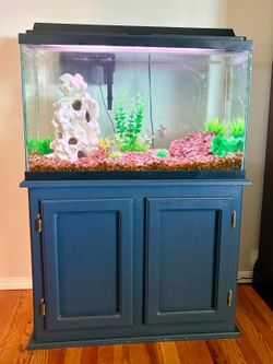 Fish tank and stand