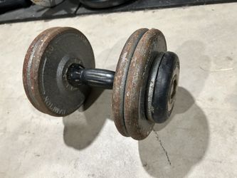 Dumbbell 50lbs Single 