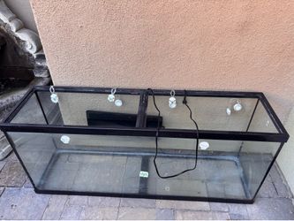 55 gallon tank / aquarium