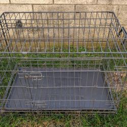 Metal Folding 2 Door Dog Puppy Training Animal Crate Medium Size with Divider
