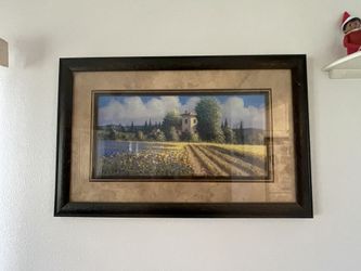 Sunflower Pictures