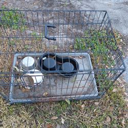 Dog Cage 