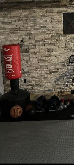 Everlast Punching