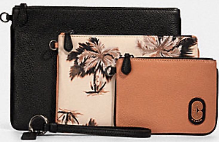 COACH POUCH TRIO WITH GLOWING PALM PRINT 90055