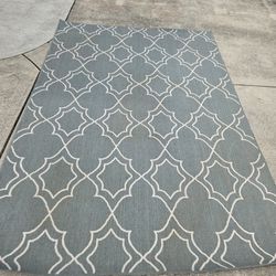 Indoor / Outdoor Rug