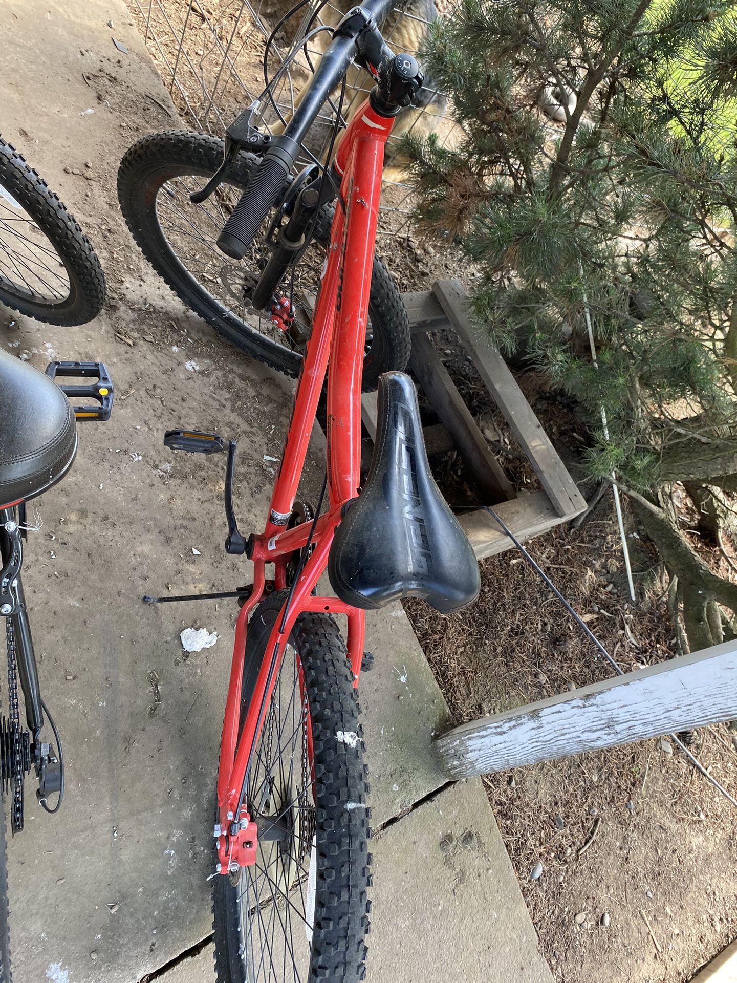 Bike