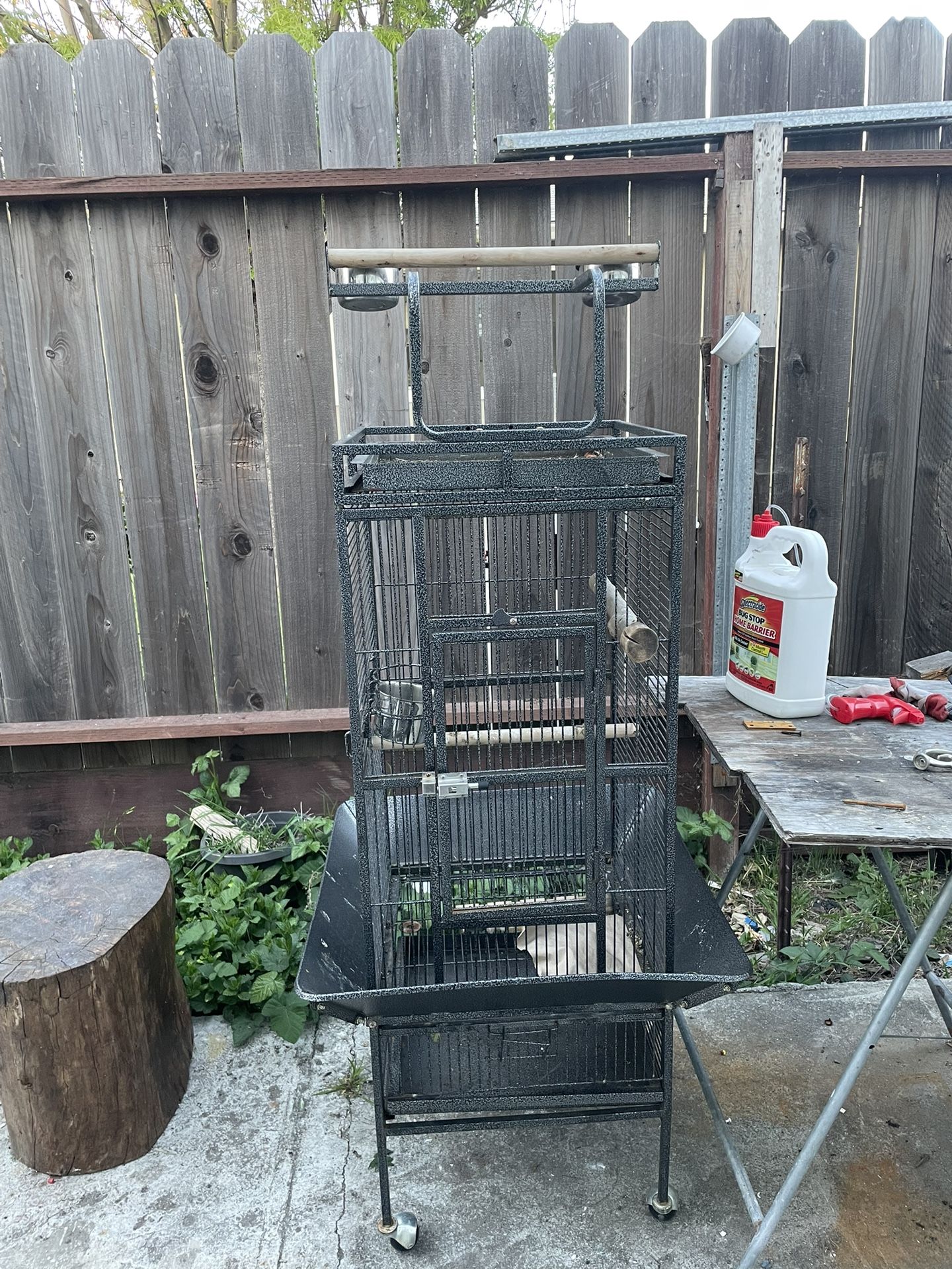 Bird Cage