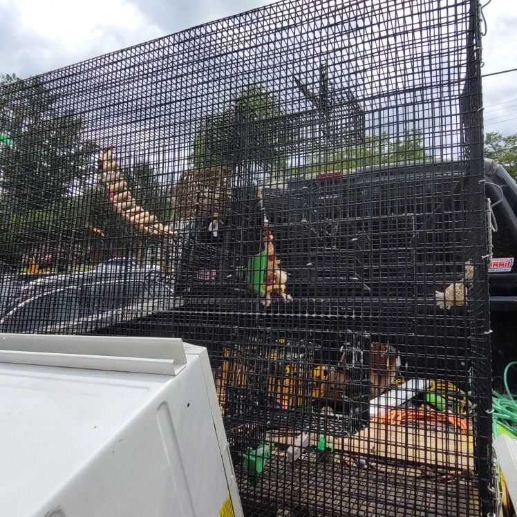 Huge Bird Mansion House!