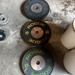 Rogue Weights / Prx Squat Rack 
