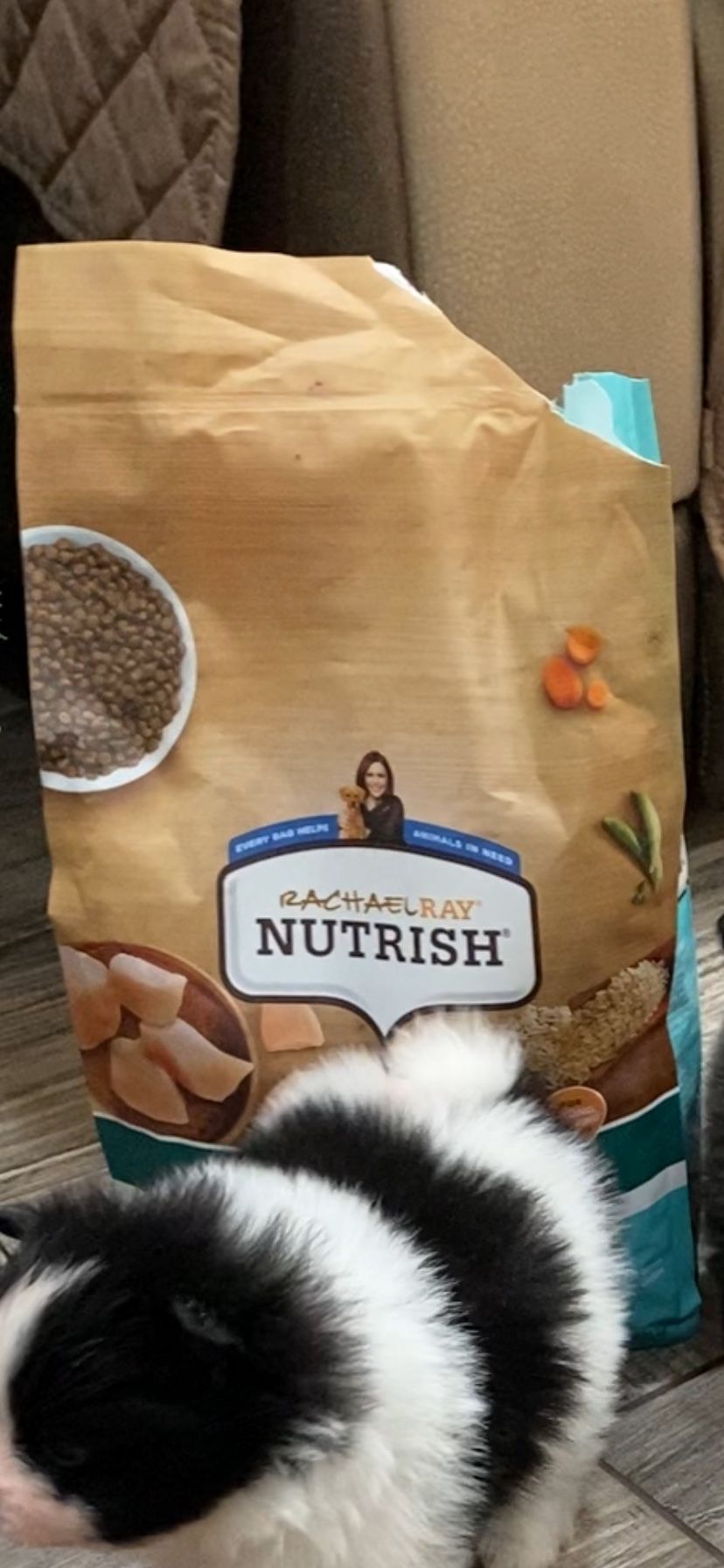 Comida Para Perro