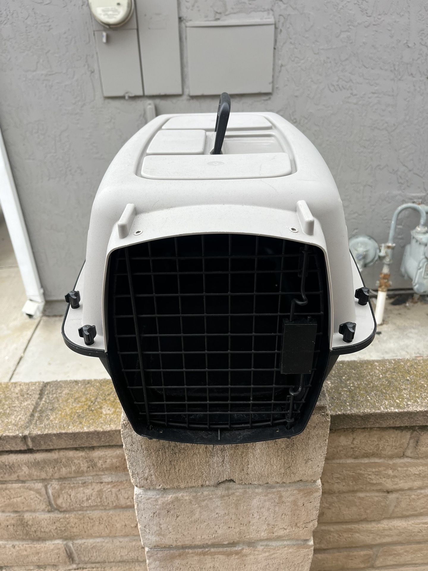 Kennel