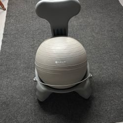 Gaian Exercise/Balance Ball Chair