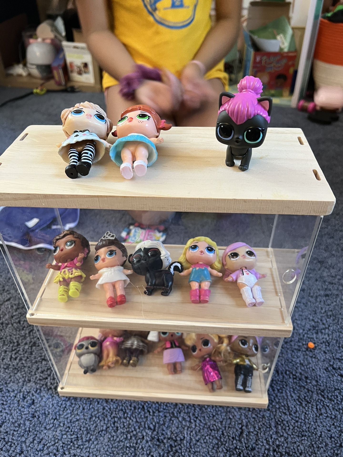 14 Pieces LOL Dolls And Pets