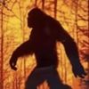 BIGFOOT