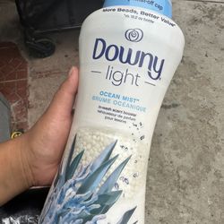 Downy Beads 24 Oz 