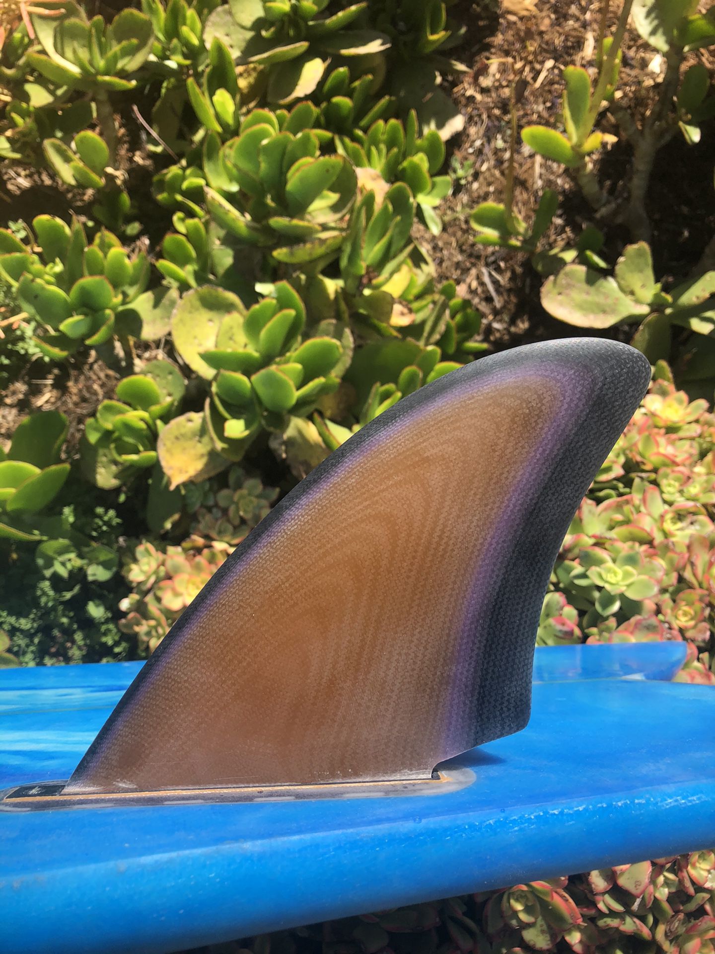 Twin fin mids futures base