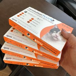 Zoetis Revolution Plus for Cats 5.6-11 lbs - 4 Boxes 