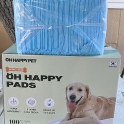 Training Pads  100ct XL