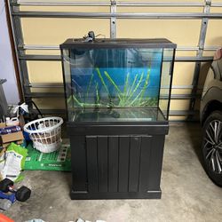 37 Gallon Tank With Stand And Pen Plex Cascade 1000filter 