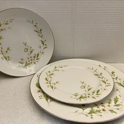Vintage Dining China Set