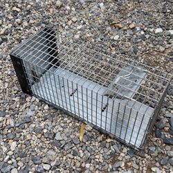 Squirrel and small critter trap