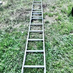 12 Foot Ladder 