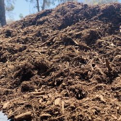 Organic Soil  10 Dollars  Bags  