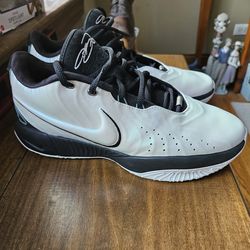 Nike LeBron XX1 sz 11.5