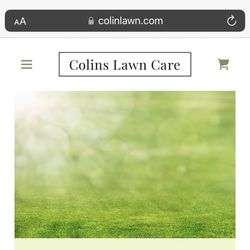 Cheap Lawn Service