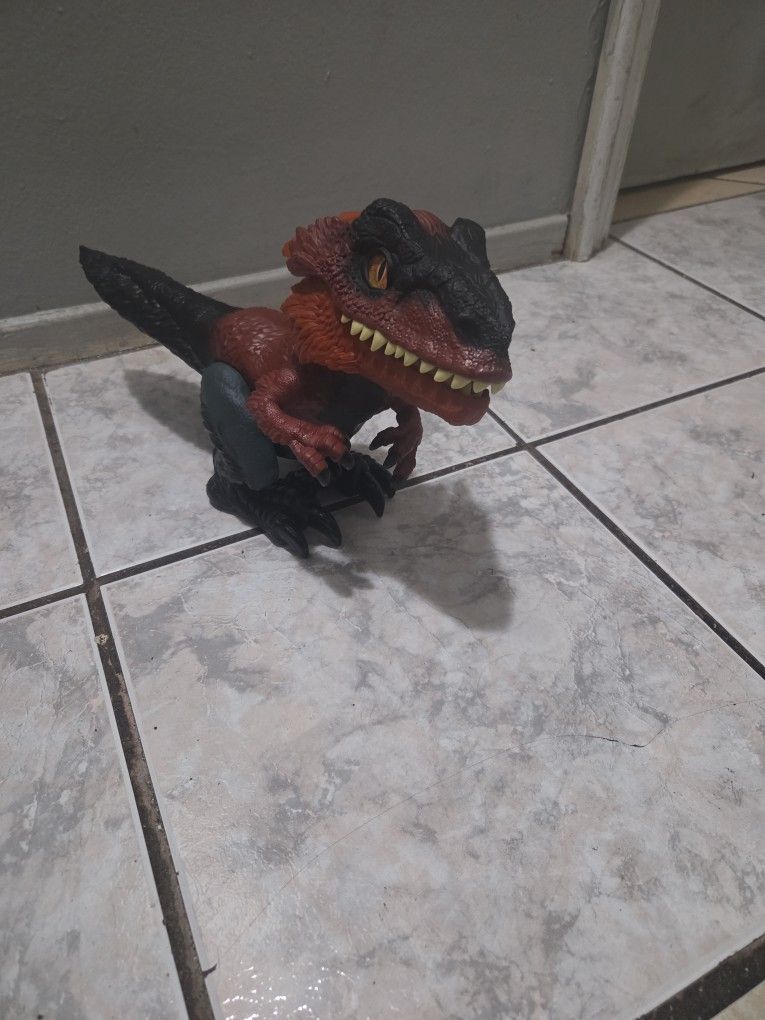 Piro Raptor Toy