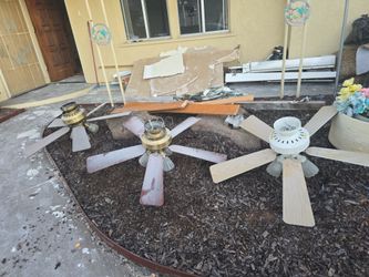 Free fans