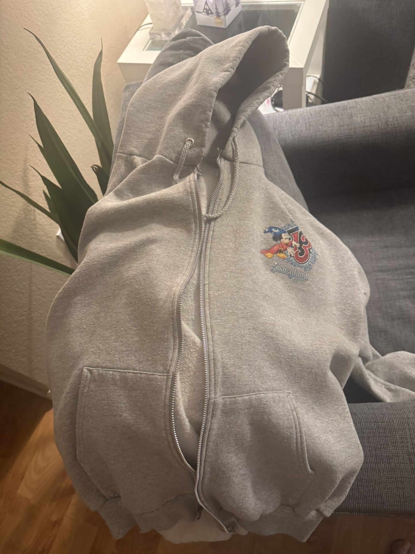 Disneyland 2013 Hoodie XL