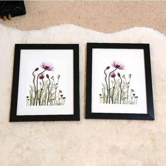 Set of Two Beautiful matching Poppy Floral Pictures with Frames