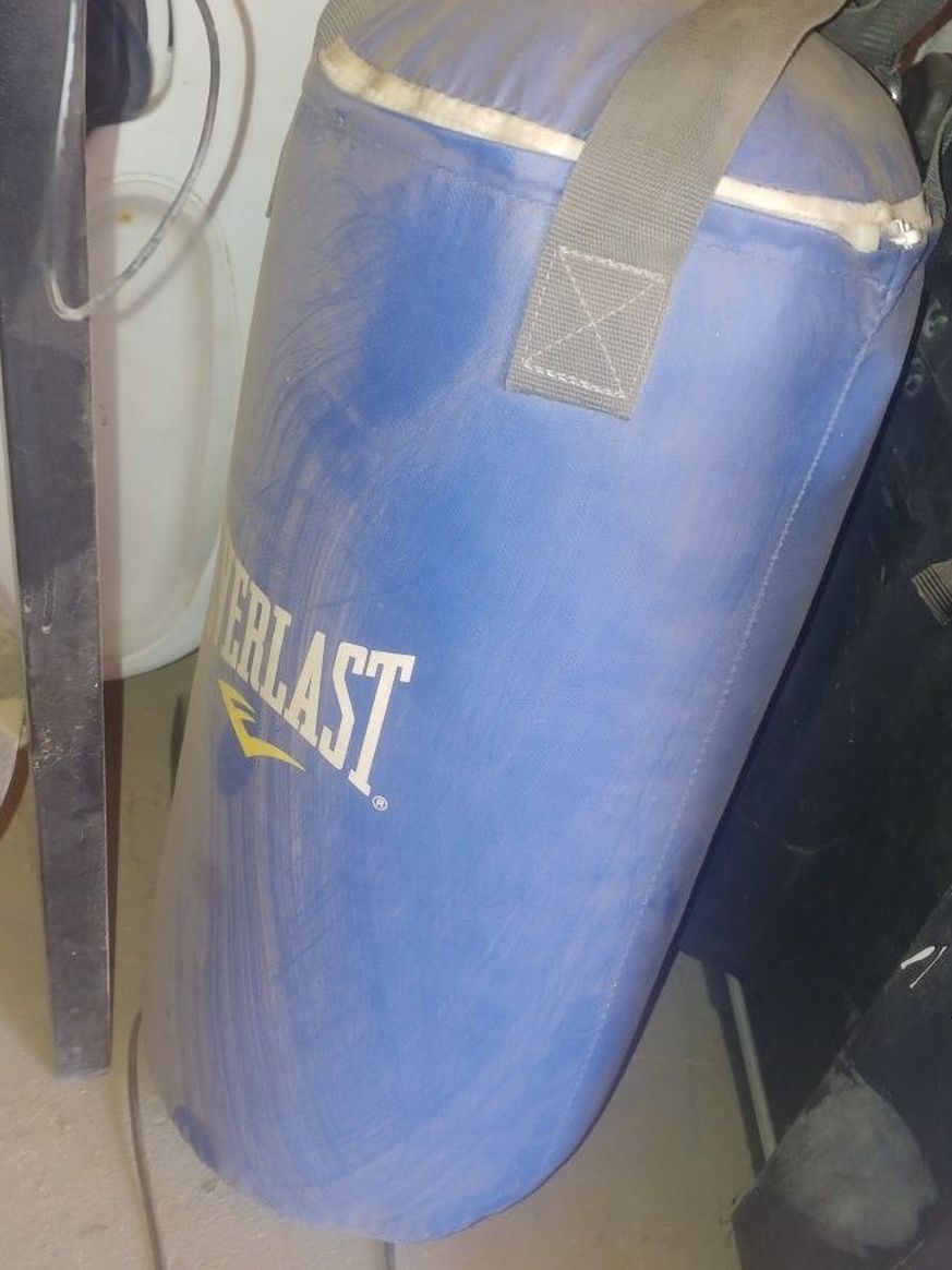 New Youth Everlast Punching bag