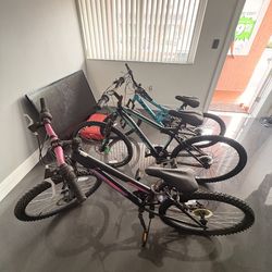 Three Bicycles
