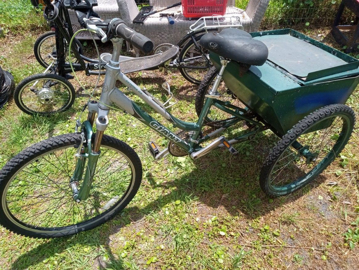 Tricycle Bike