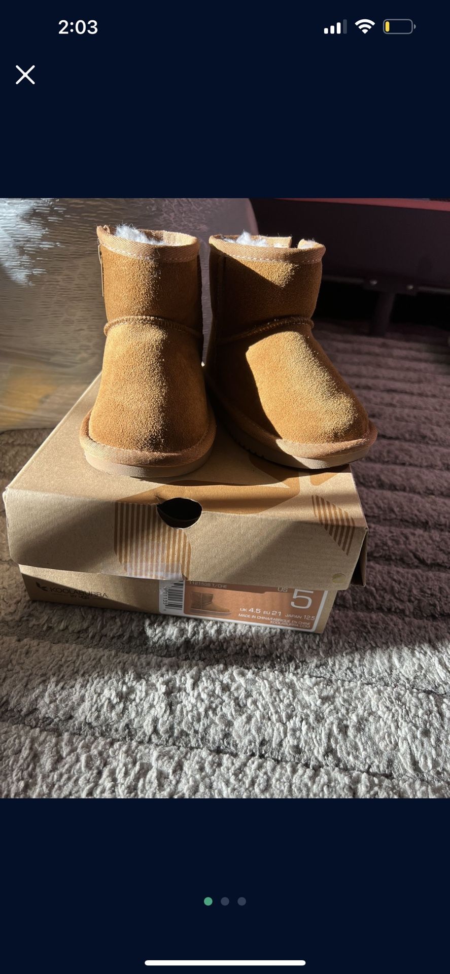 Ugg Koala